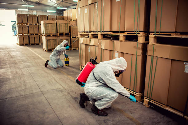 Best Exterminator Services  in Old Jefferson, LA