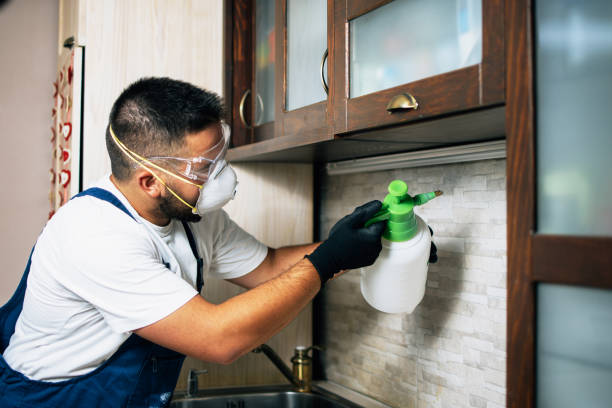 Trusted Old Jefferson, LA Pest Control Experts