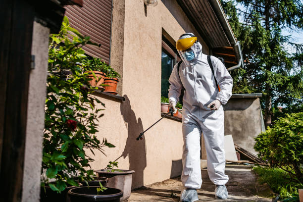 Best Affordable Pest Control Services  in Old Jefferson, LA