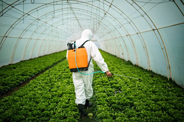Best Best Pest Control Near Me  in Old Jefferson, LA
