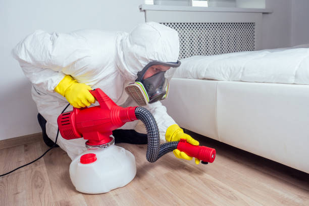 Best Local Pest Control Services  in Old Jefferson, LA