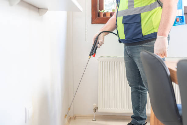 Best Pest Control Near Me  in Old Jefferson, LA