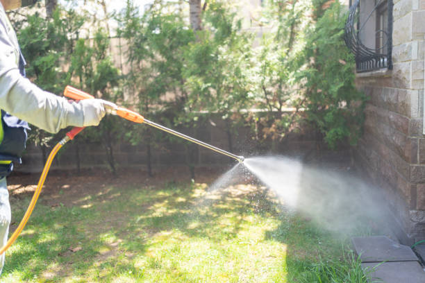 Best Best Pest Control Companies  in Old Jefferson, LA
